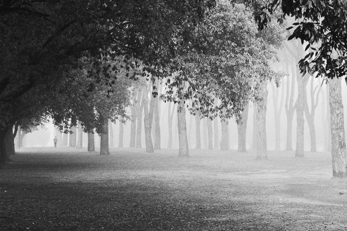 aluminium-print-morning-fog-xyy