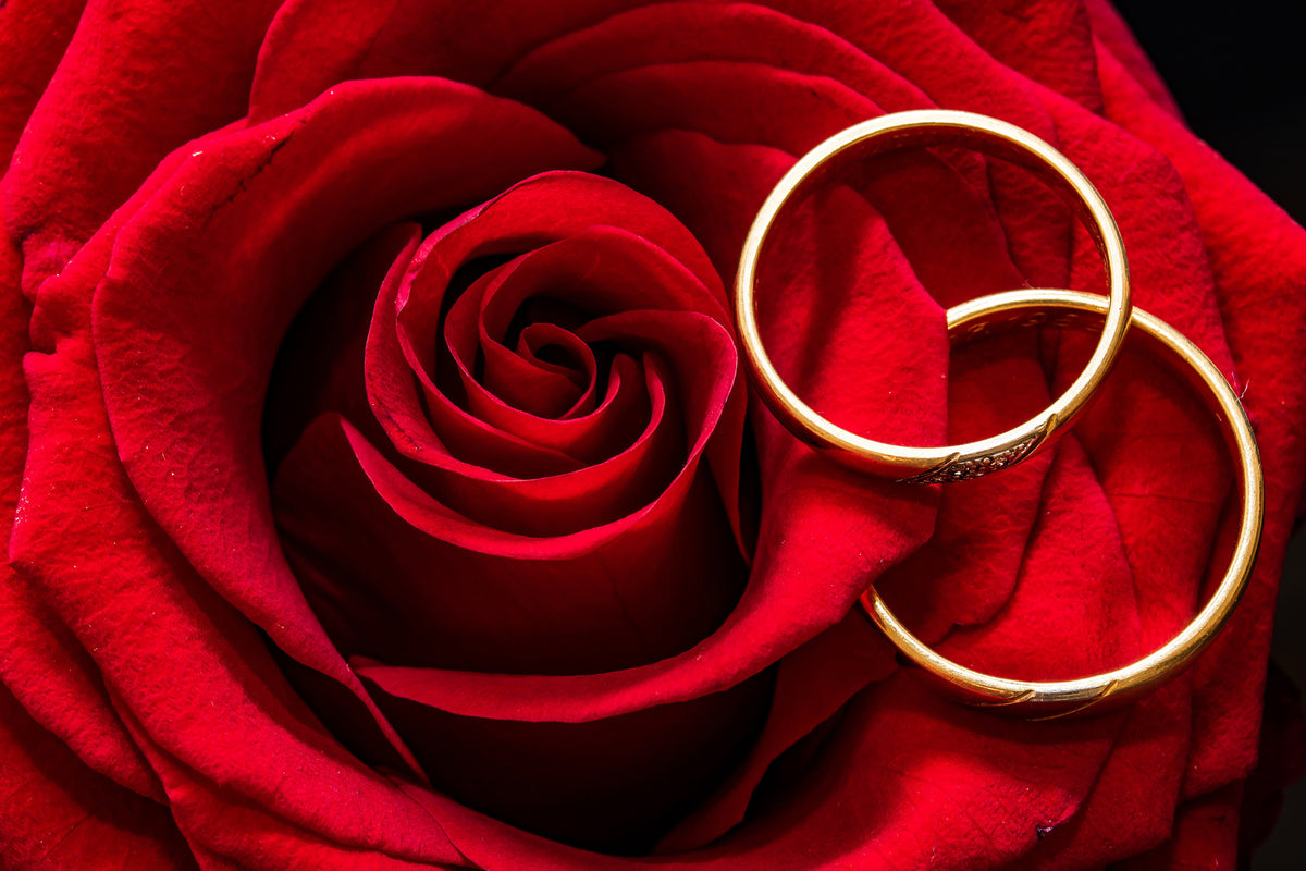 3-piece-acrylic-print-wedding-rings-on-the-rose