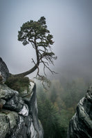 canvas-print-against-the-odds-x