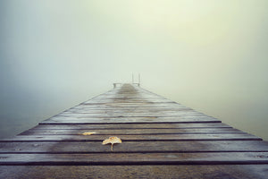 canvas-print-cold-and-misty-morning-x