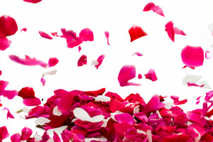 aluminium-print-let-it-rain-red-roses-for-me