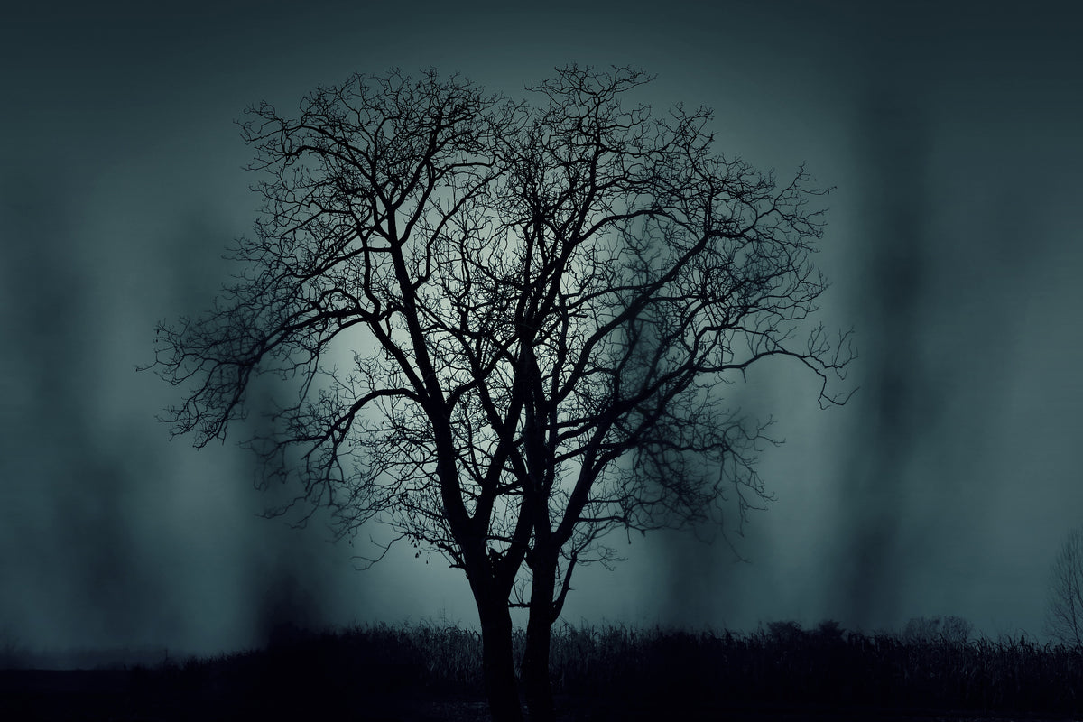 acrylic-print-the-tree-in-darkness