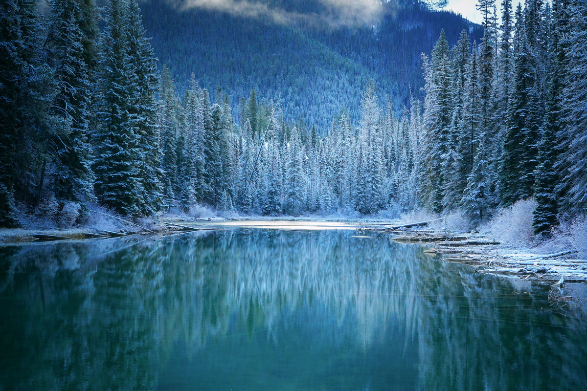 framedcanvas-print-wonder-winter-land-x