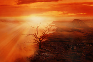 3-piece-aluminium-print-colorful-landscape