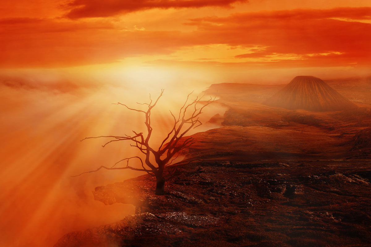3-piece-aluminium-print-colorful-landscape