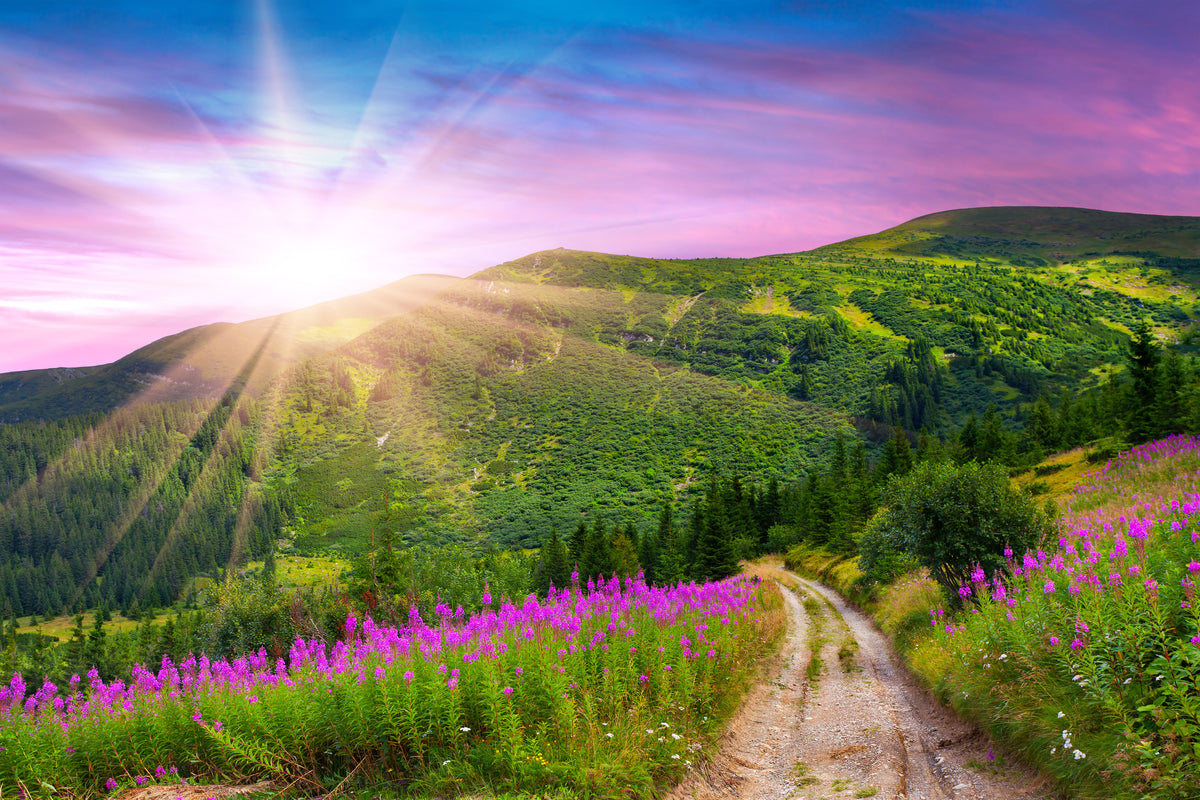 3-piece-aluminium-print-a-summer-landscape-at-sunrise