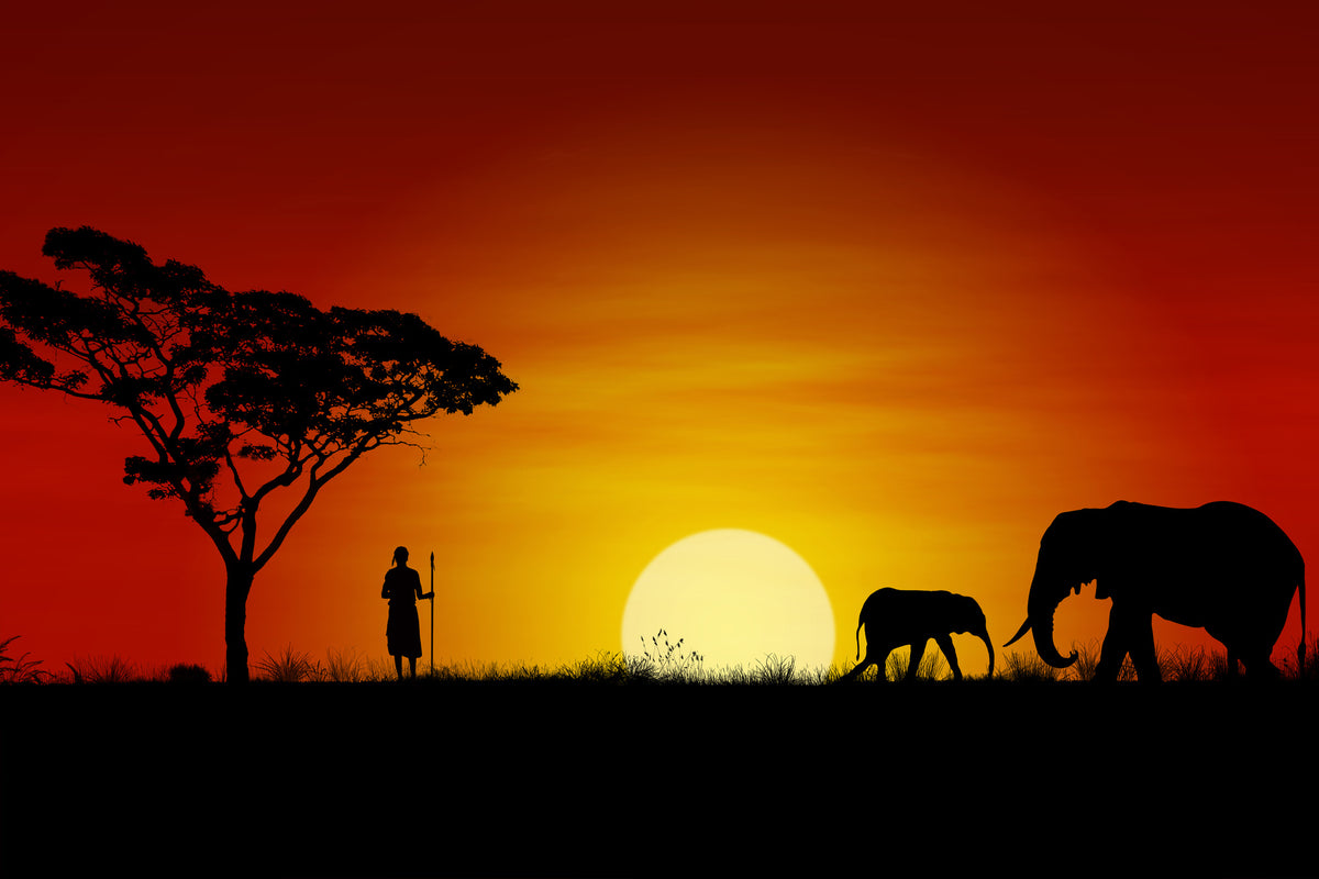 3-piece-acrylic-print-african-steppe-elephant