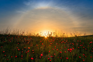 modern-3-piece-aluminium-print-red-poppies-and-sunrise
