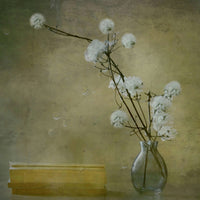 4-piece-acrylic-print-books
