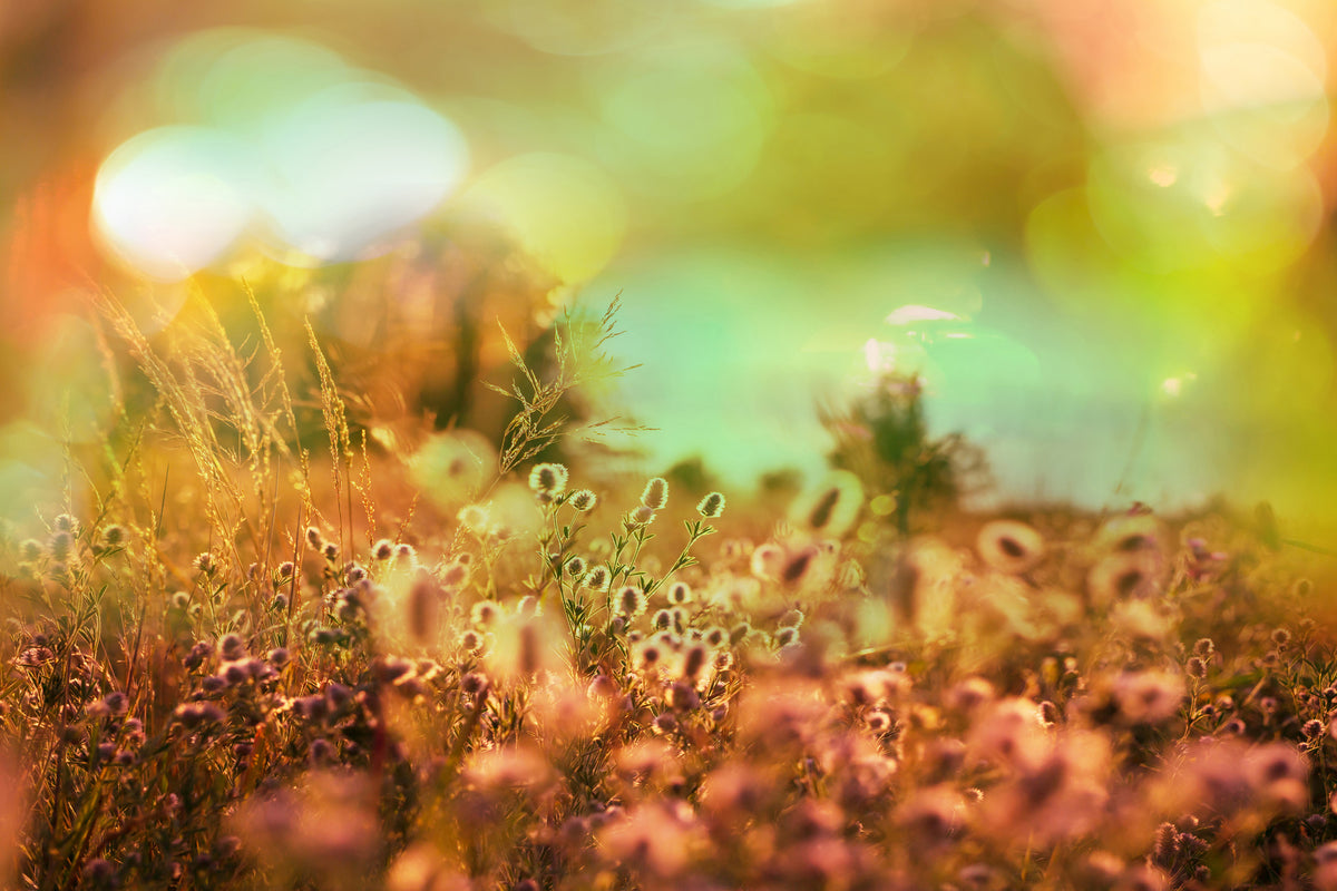 modern-3-piece-acrylic-print-flower-meadow-at-twilight