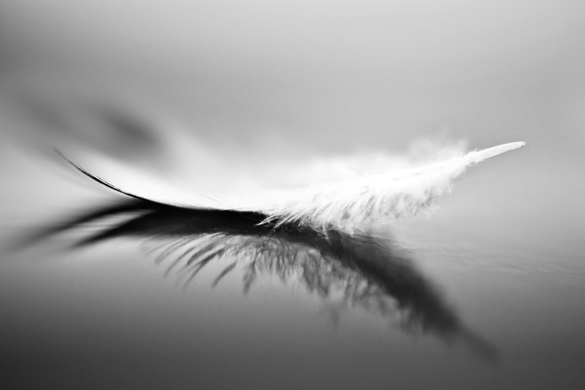 framedposter-print-white-xza