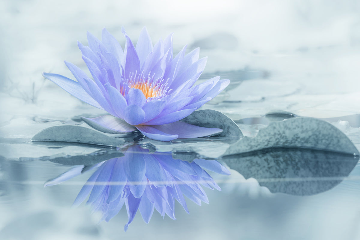 aluminium-print-reflection-xus
