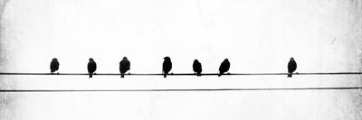 panoramic-poster-print-sheet-music-panorama