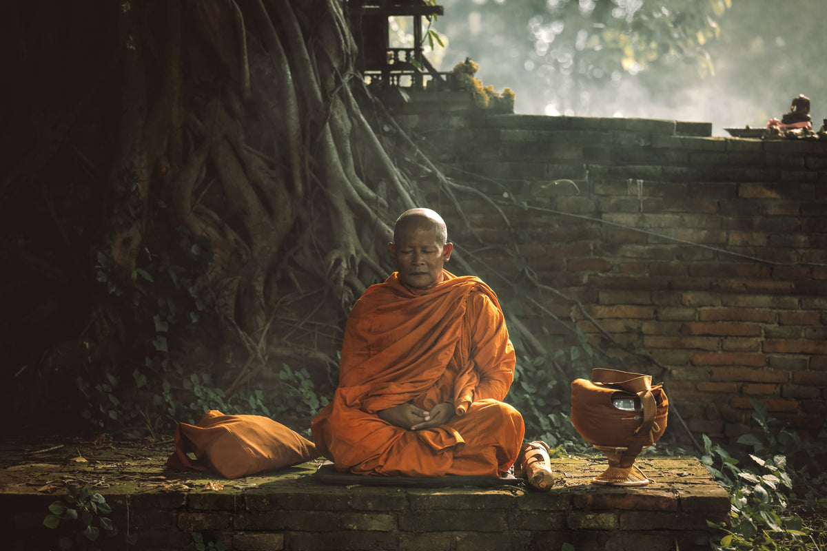 poster-print-no-xvii