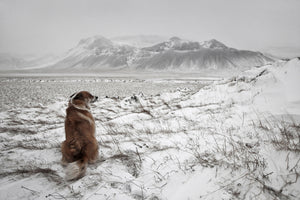 framedposter-print-snowstorm-x
