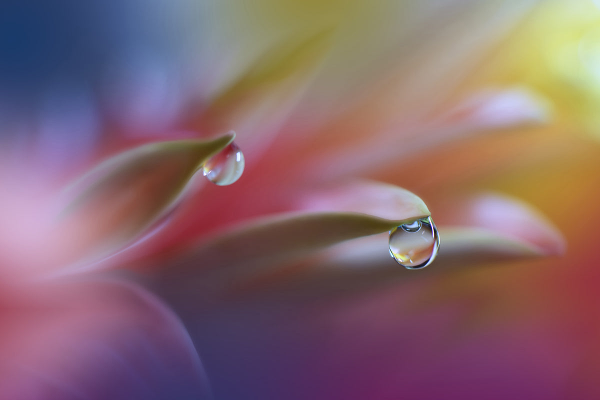 aluminium-print-sound-of-colors-x
