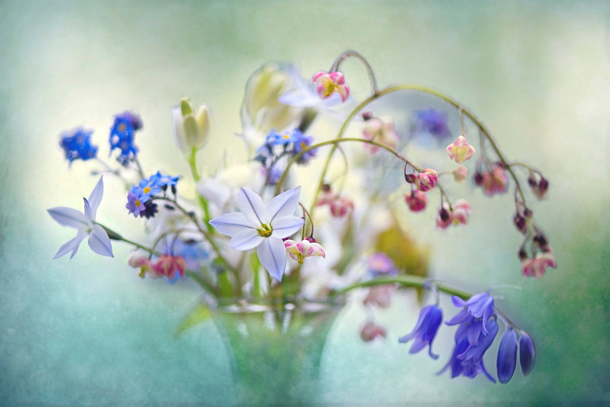 acrylic-print-spring-treasures-x