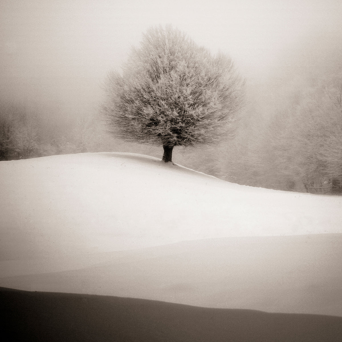 aluminium-print-winter-degradee