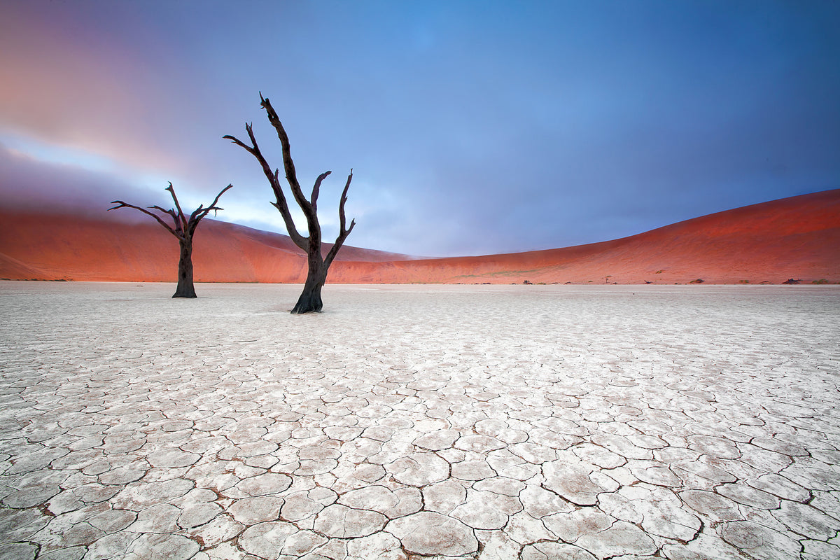 poster-print-mist-over-deadvlei-x