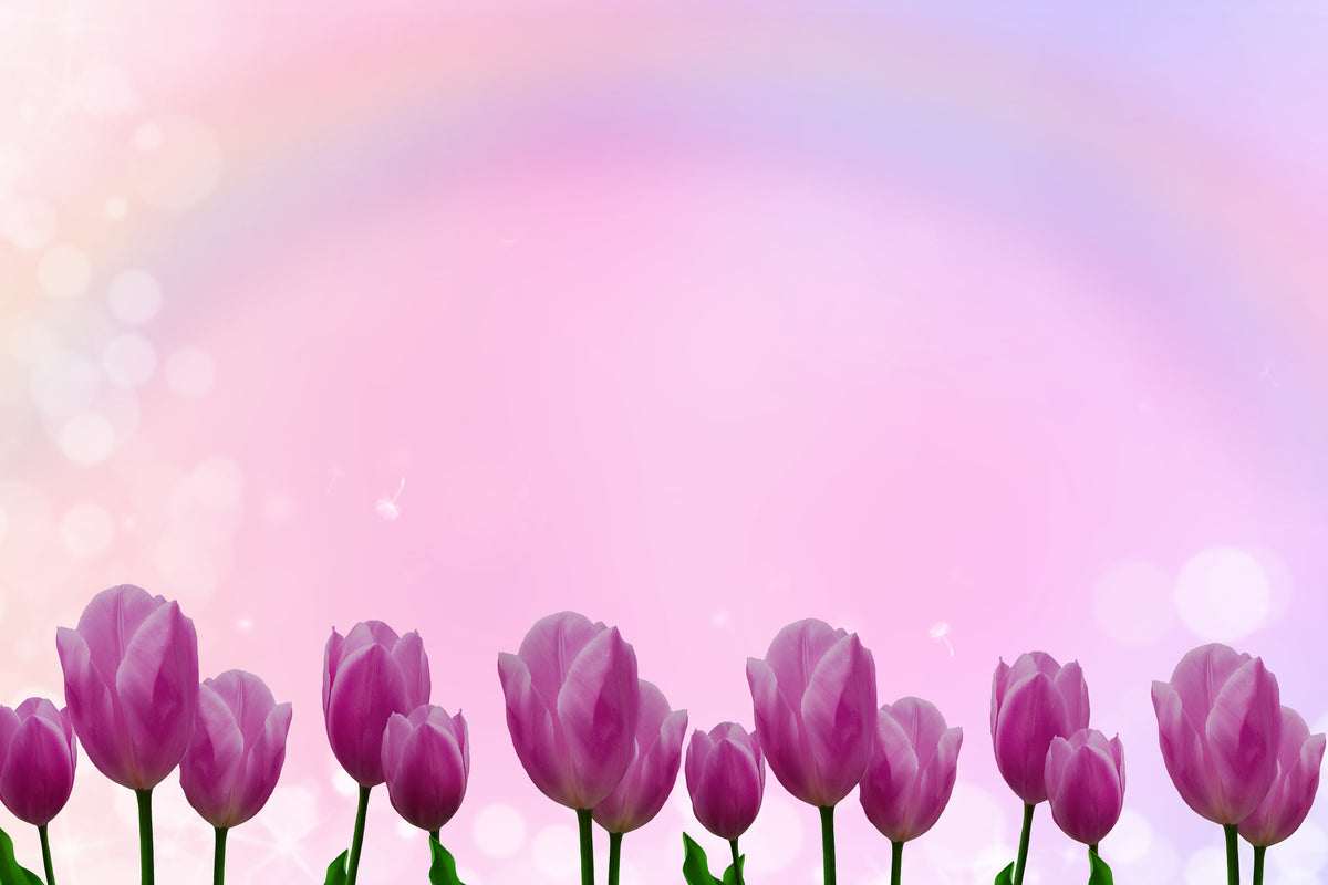 aluminium-print-sweet-tulips