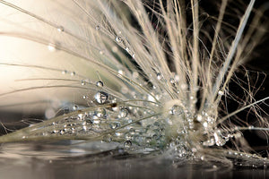 aluminium-print-pearls-x