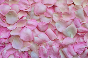 3-piece-aluminium-print-rose-petals-in-pink-ii