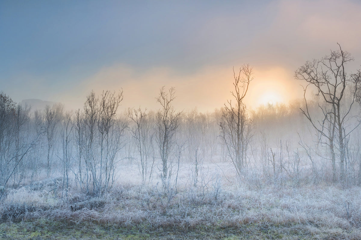 acrylic-print-a-touch-of-winter