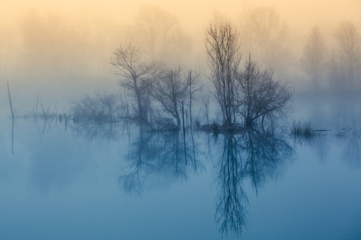 aluminium-print-morning-reflection-ii