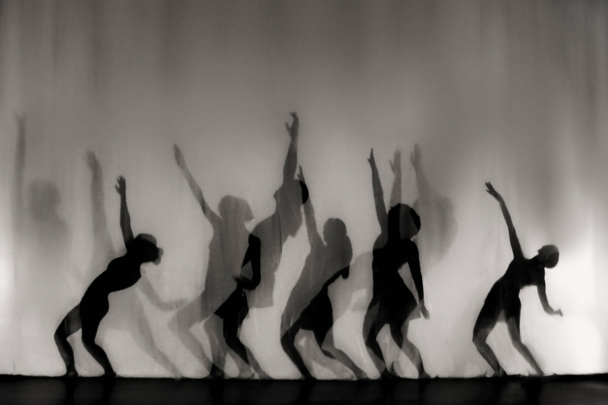 canvas-print-dance-is-the-language-of-the-soul