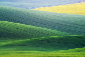 3-piece-canvas-print-lines