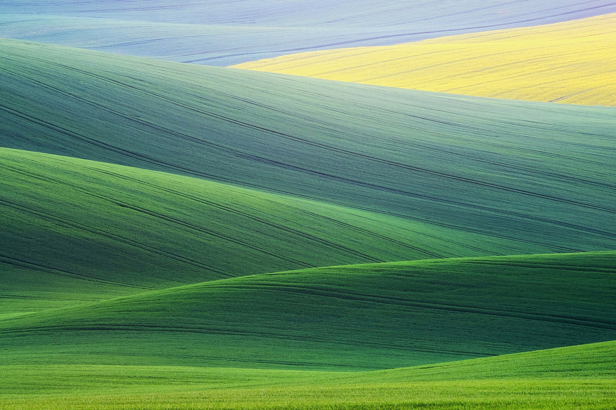 3-piece-canvas-print-lines