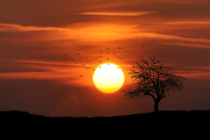 modern-3-piece-canvas-print-the-sunset-on-the-horizon