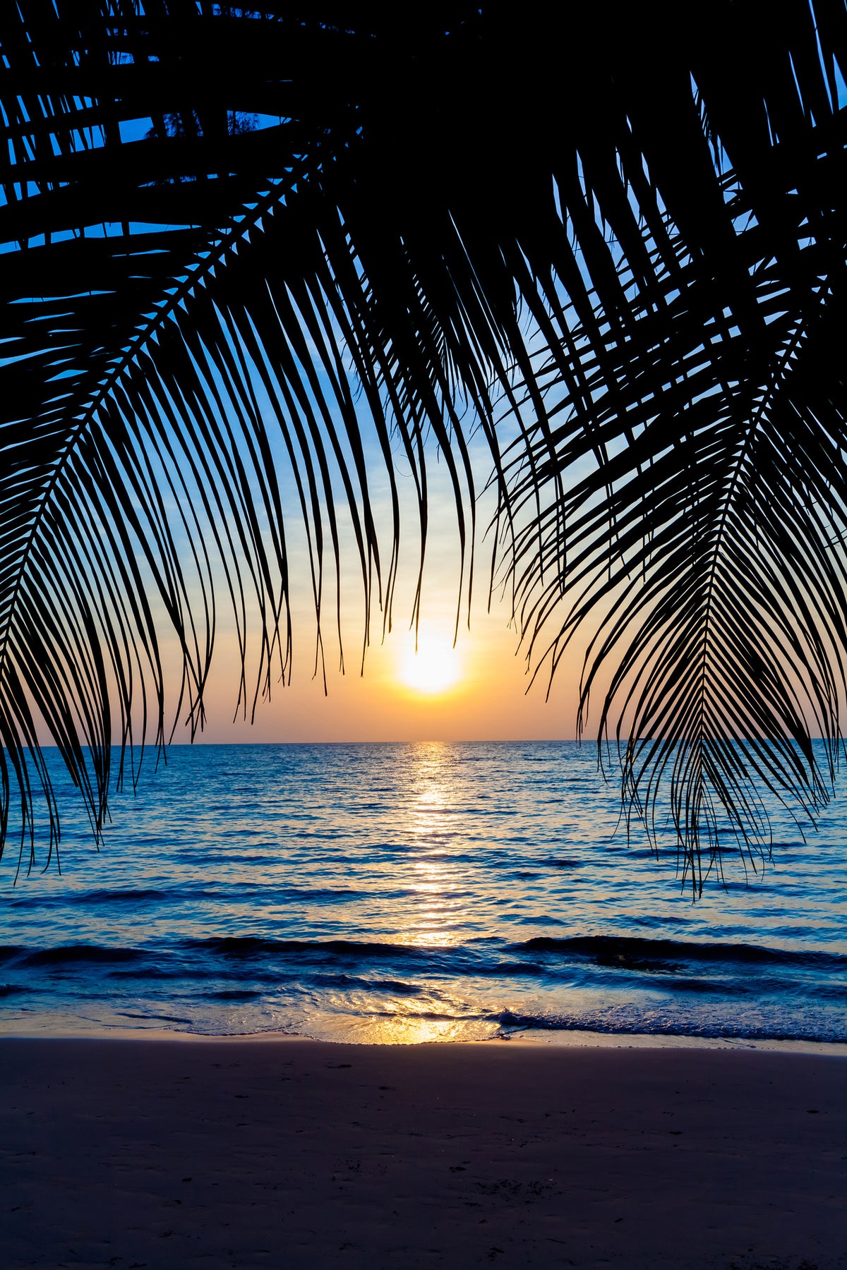 framedposter-print-through-the-palm