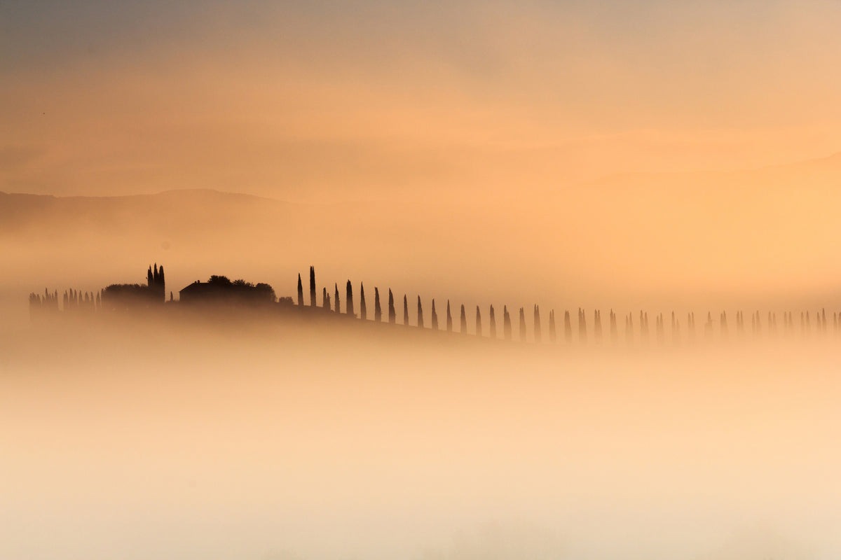 aluminium-print-foggy-sunrise-xam