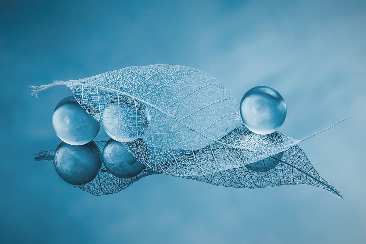 canvas-print-dry-leaf-and-bubbles-x