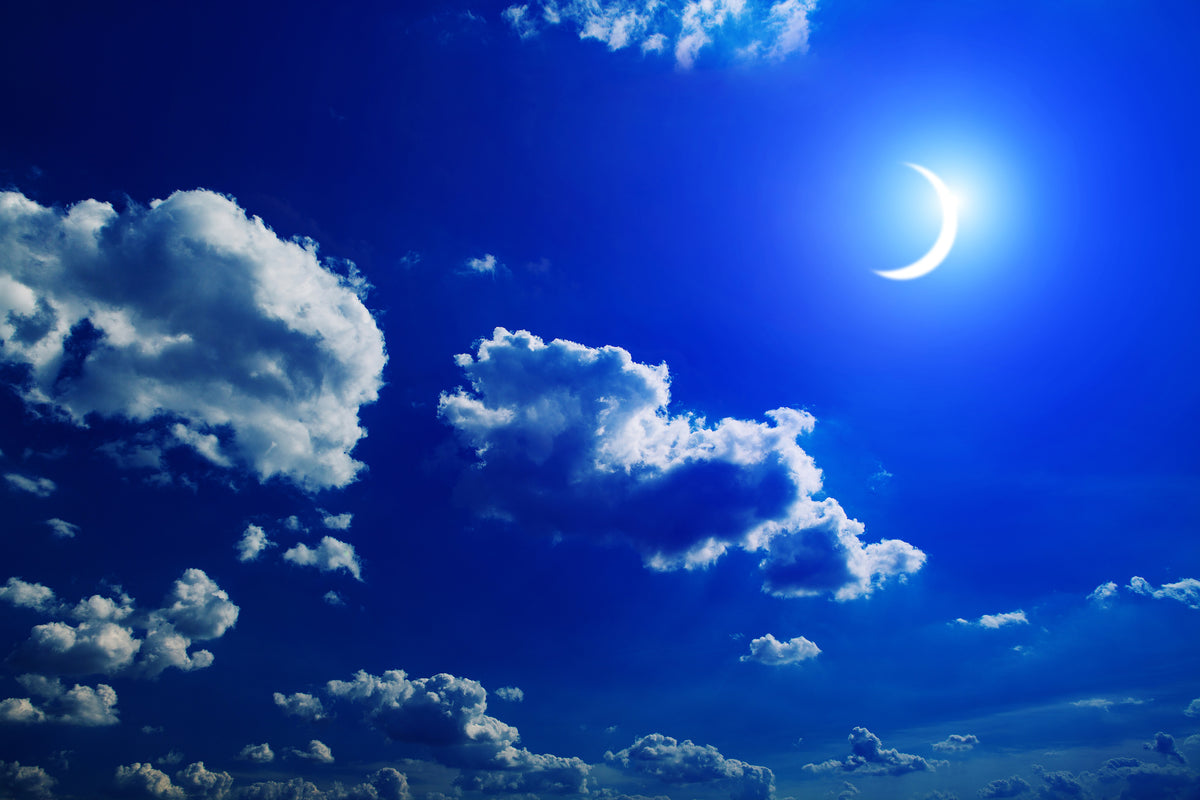 canvas-print-the-moon
