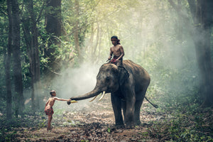 3-piece-canvas-print-the-elephant-at-work