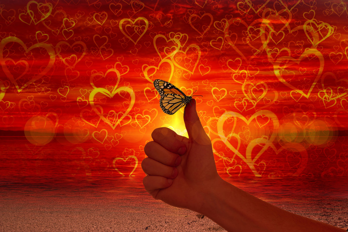 canvas-print-the-butterfly-and-the-love
