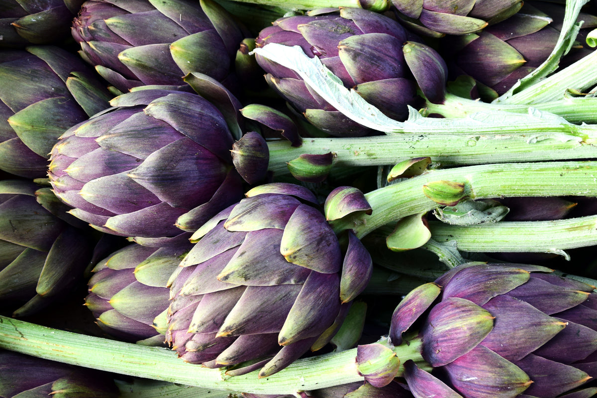 acrylic-print-fresh-artichokes
