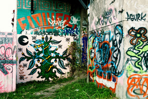 framedcanvas-print-graffiti-in-the-backyard