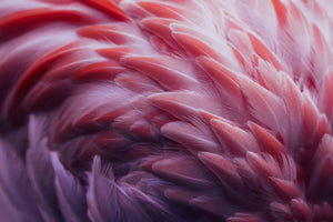 aluminium-print-flamingo-xqw