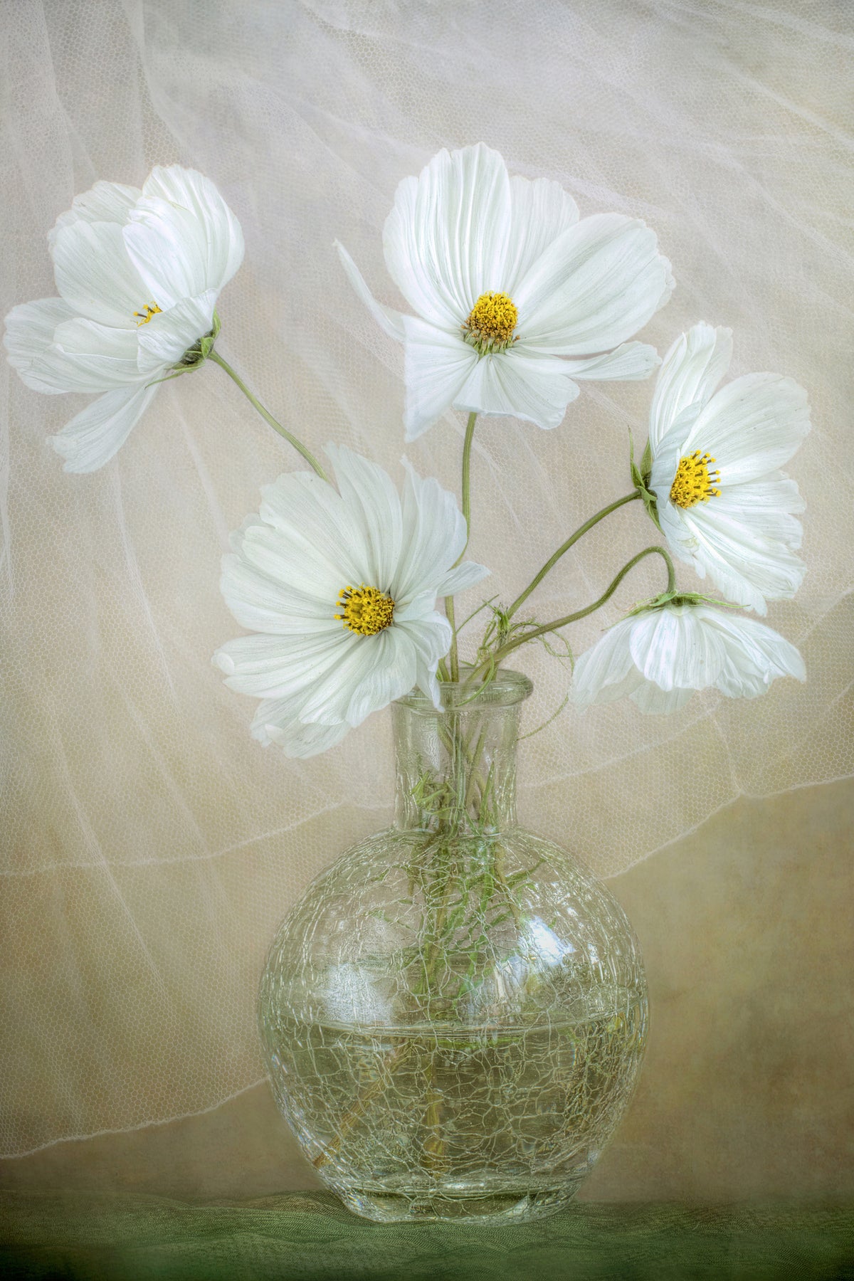 canvas-print-cosmos-breeze
