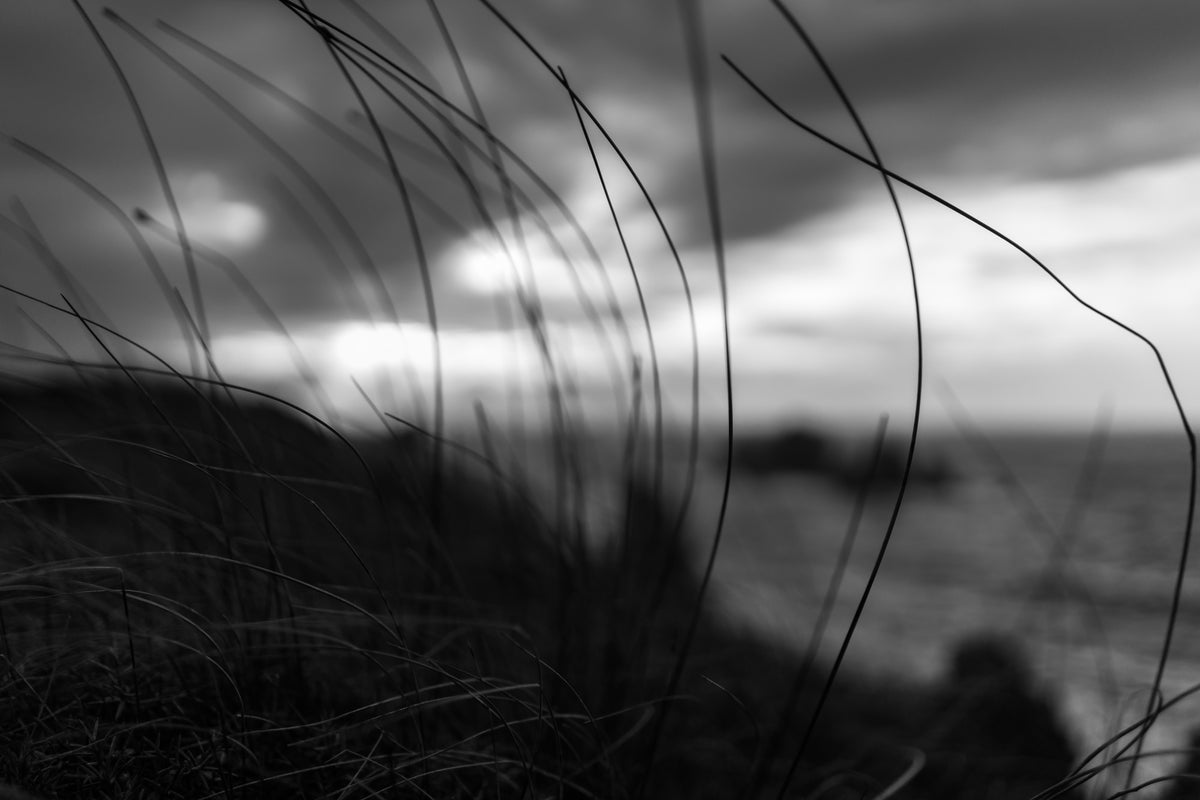 3-piece-acrylic-print-the-wind-brings-the-night