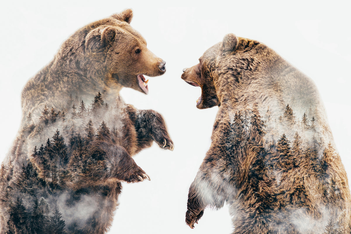 canvas-print-wild-conflicts-x