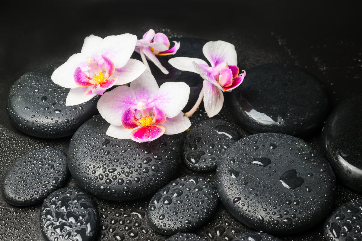 canvas-print-feng-shui-orchid-zen