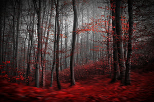 acrylic-print-bloody-river-x