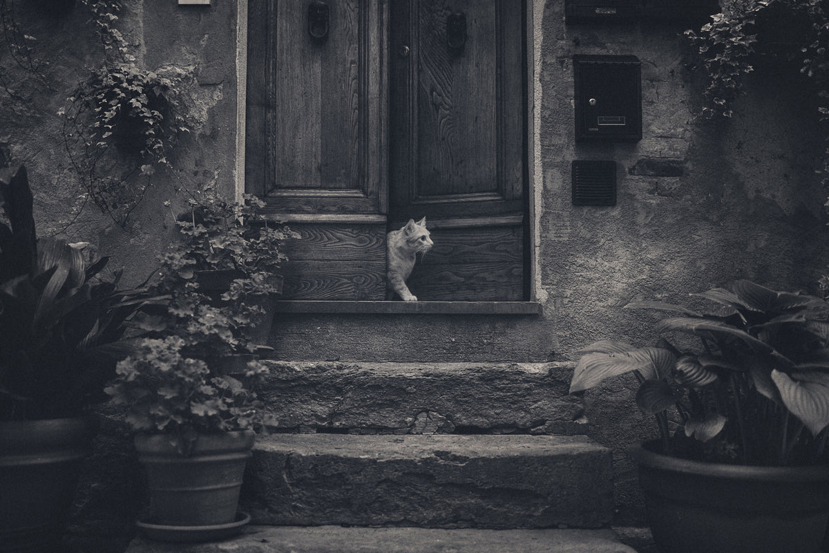 framedposter-print-awaiting-guests-x