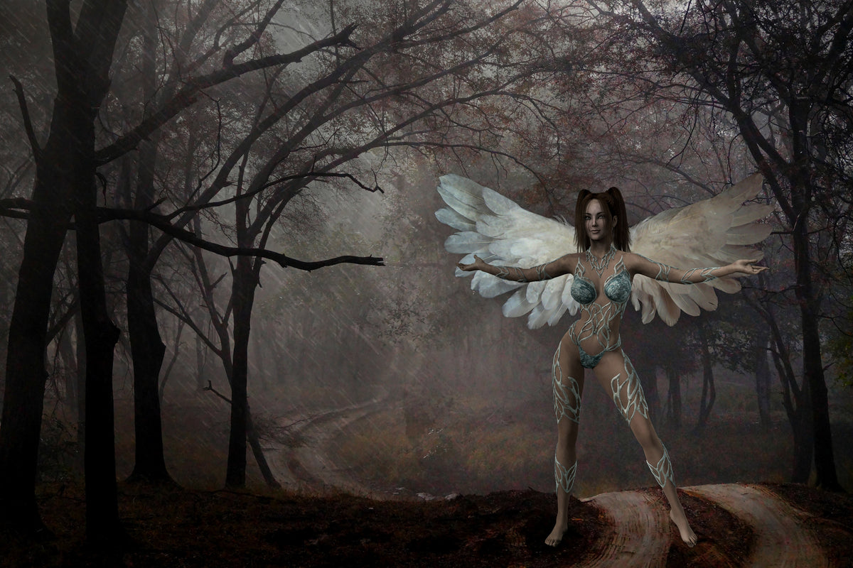 framedcanvas-print-fantasy-in-the-forest