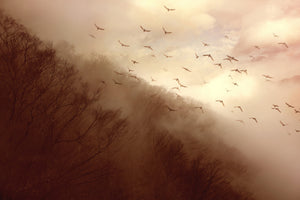 3-piece-acrylic-print-departure