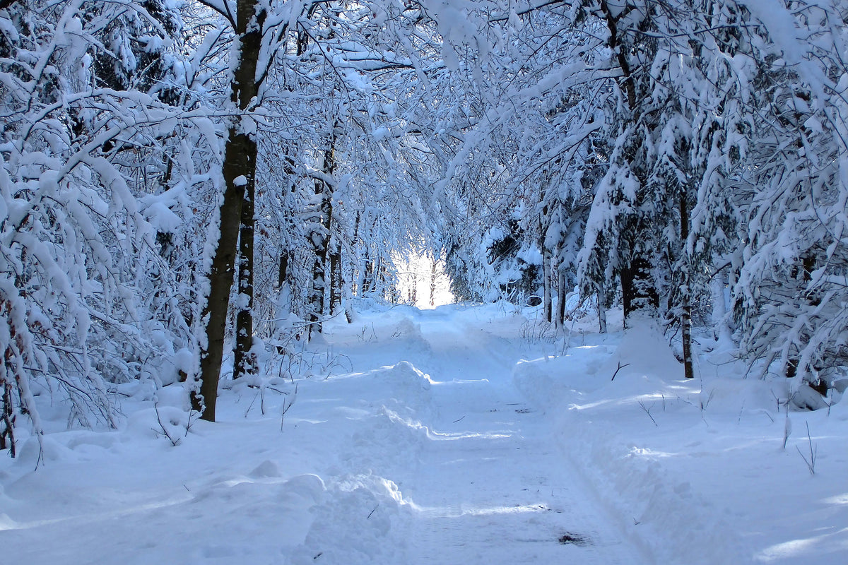 aluminium-print-finally-winter